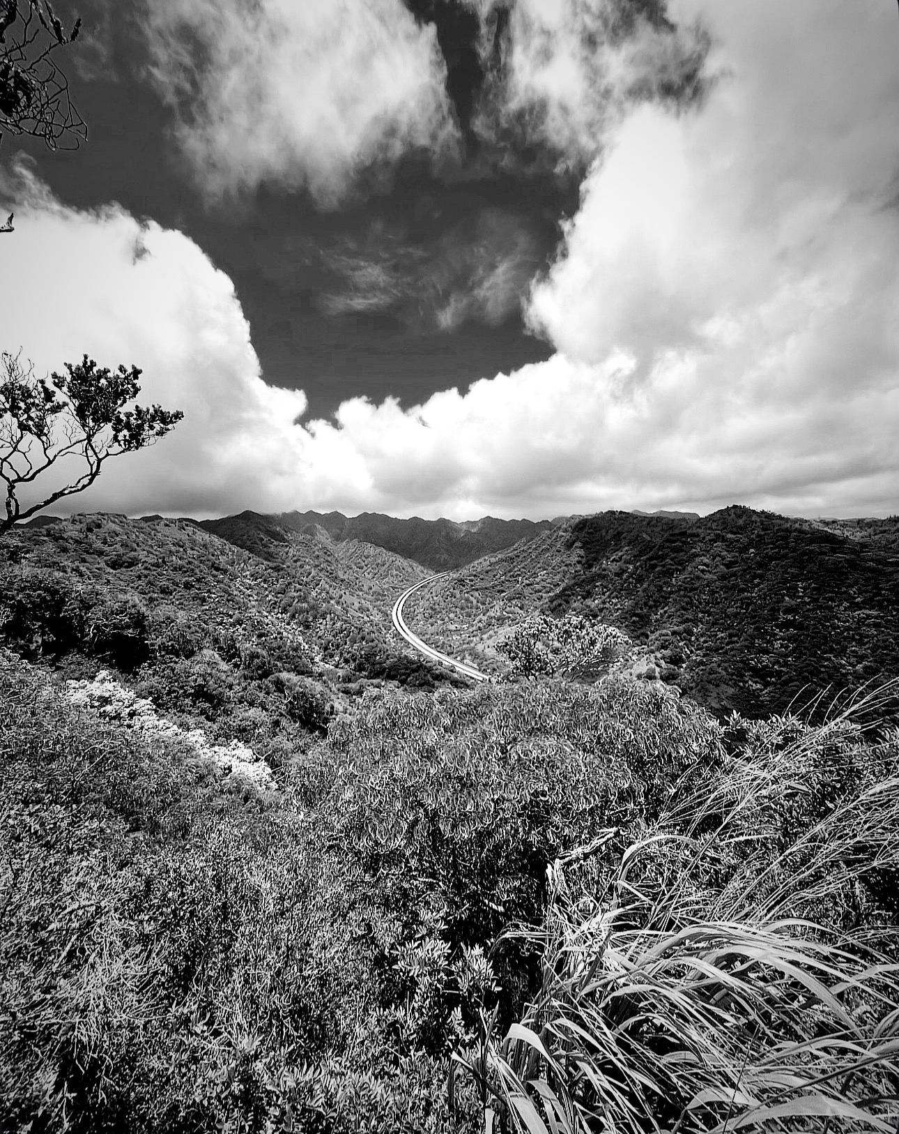 ʻĀina II — Corridor